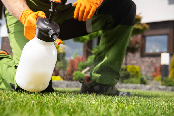 Best Spider Control Near Me  in Millers Falls, MA