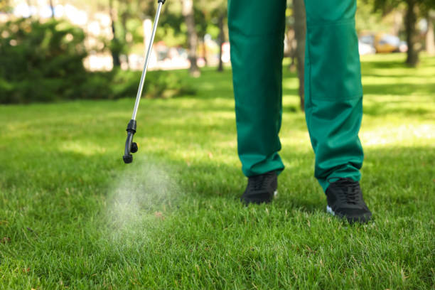 Best Insect Control  in Millers Falls, MA