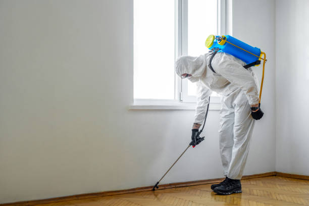 Best Mosquito Control Services  in Millers Falls, MA