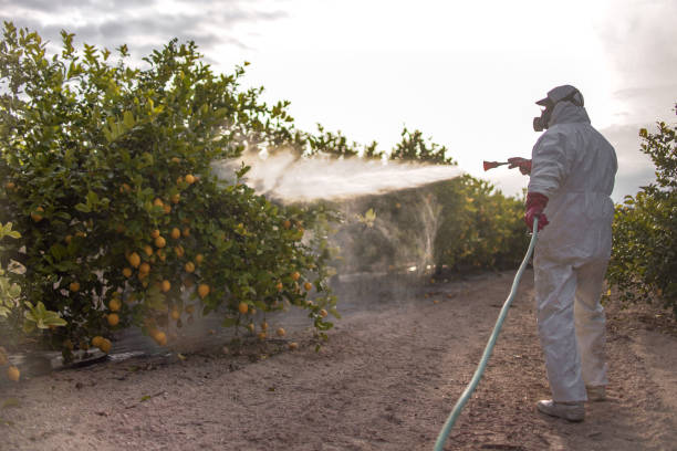  Millers Falls, MA Pest Control Pros