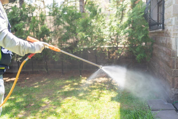 Best Termite Control Services  in Millers Falls, MA