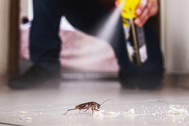 Best Emergency Pest Control  in Millers Falls, MA